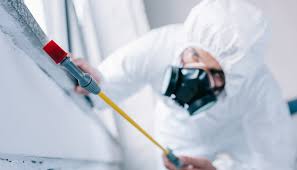 Best Residential Pest Control  in Burgin, KY